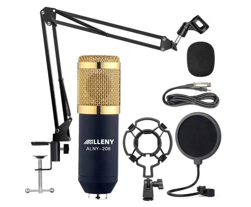 Buying a Condenser Microphone Cordless Microphone Enping LAIKESI